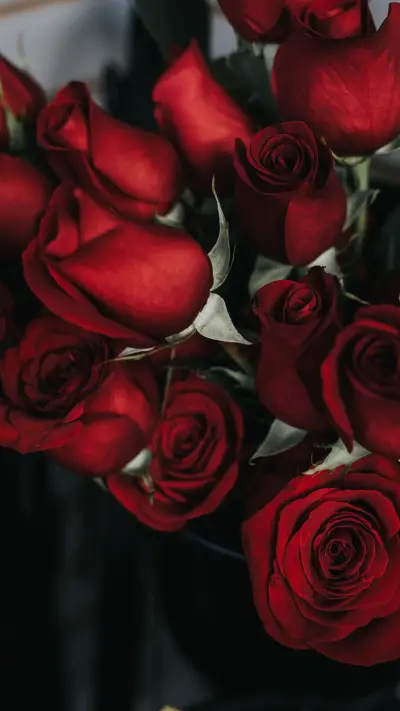 Roses and Lilacs (6)