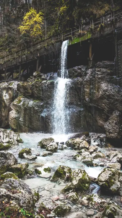 Environment Day (2) - Screenshot 1