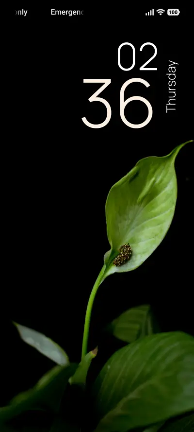 Noir Verdure THEME for Xiaomi MIUI HyperOS
