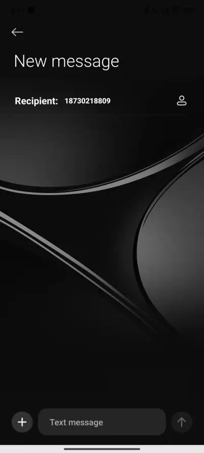 Silver Gleam - Screenshot 8