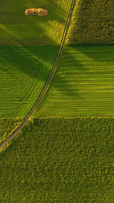 Overlooking the grassland