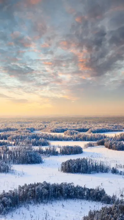 Encounter nature - Screenshot 1