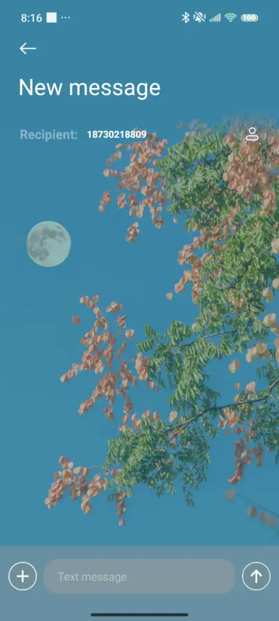 Romantic Freedom - Screenshot 8