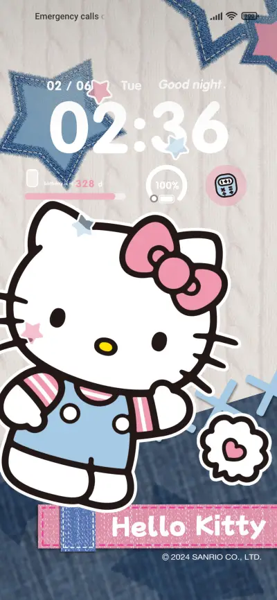 Sanrio denim