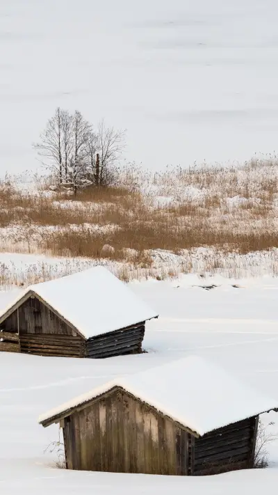 Embrace nature - Screenshot 1