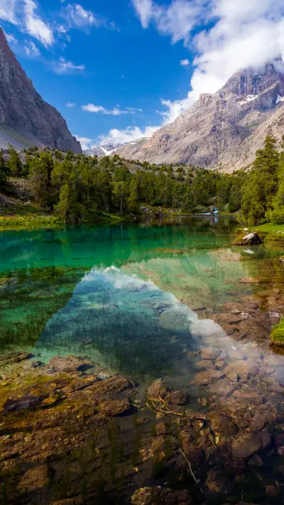 Green forest - Screenshot 1