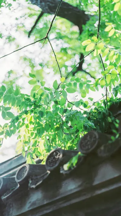 叶子 - Screenshot 1