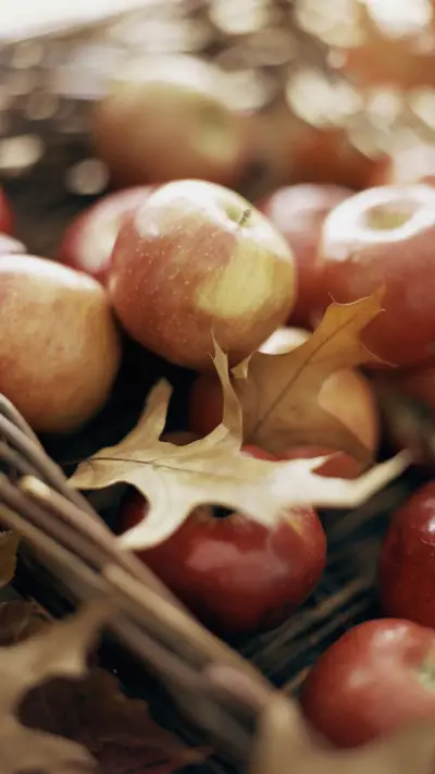 苹果 - Screenshot 1