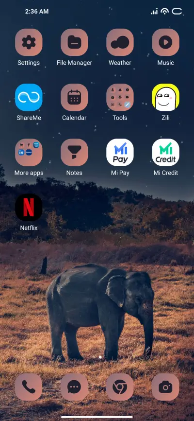 Elephant Night - Screenshot 3