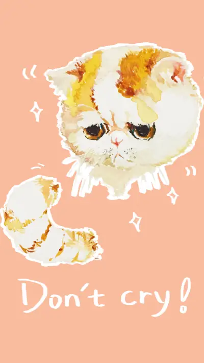 中央美术学院-孙语迟-参赛-喵喵不哭