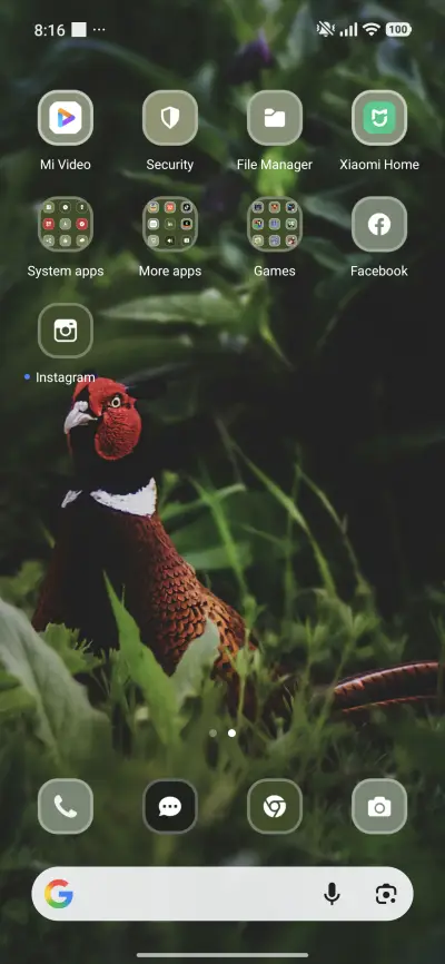 Pheasant - Screenshot 3