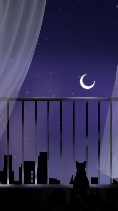 Silver Moon Starlight