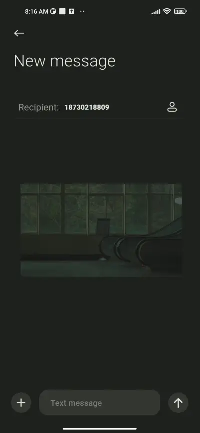 Lost Forest - Screenshot 8