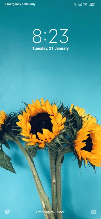 Official MIUI Theme_6