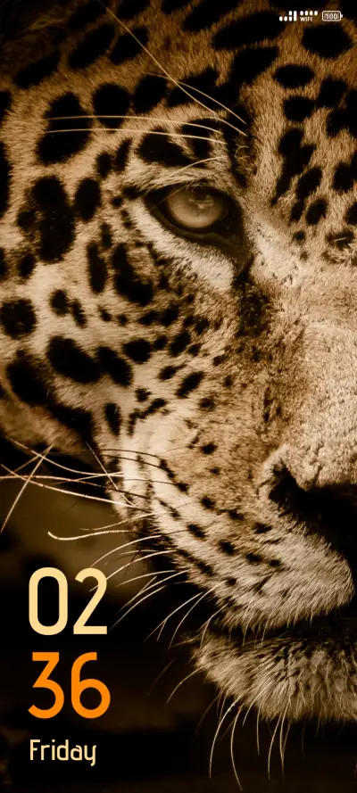 Jaguar