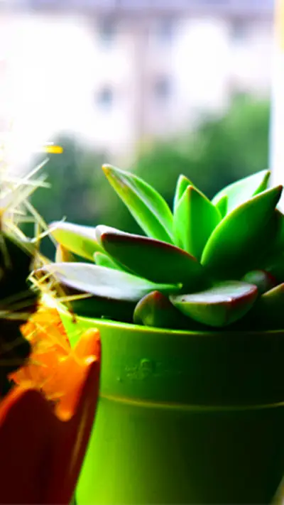 DF-01 - Screenshot 1