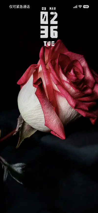 Rose Petals - Screenshot 1