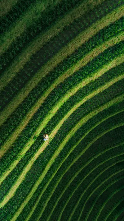 Theres everything here except for the desert