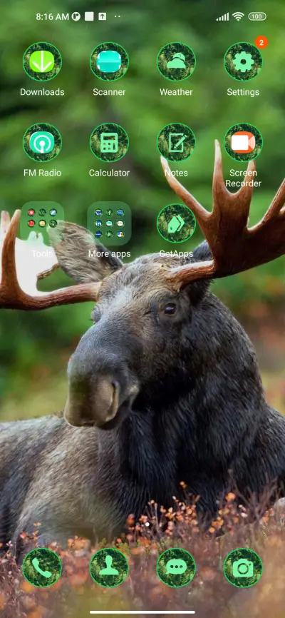 wildlife elk - Screenshot 3