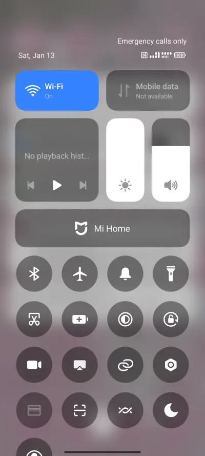 Lilly Flowers - Screenshot 5