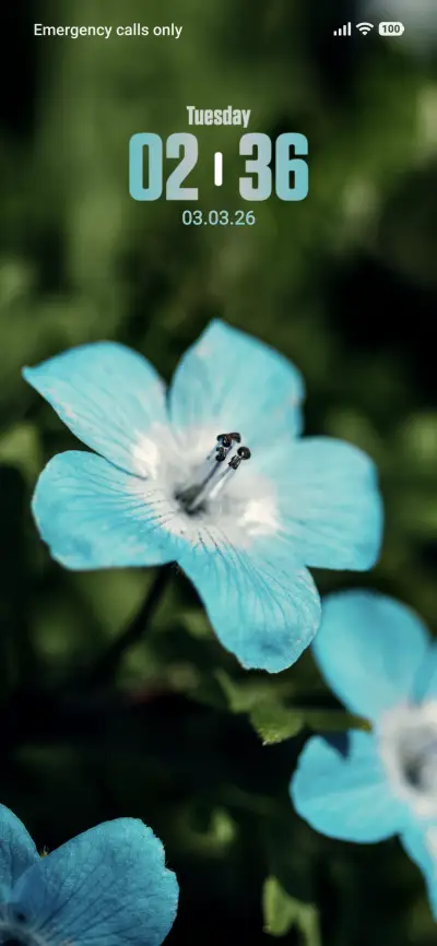 Blue Flower