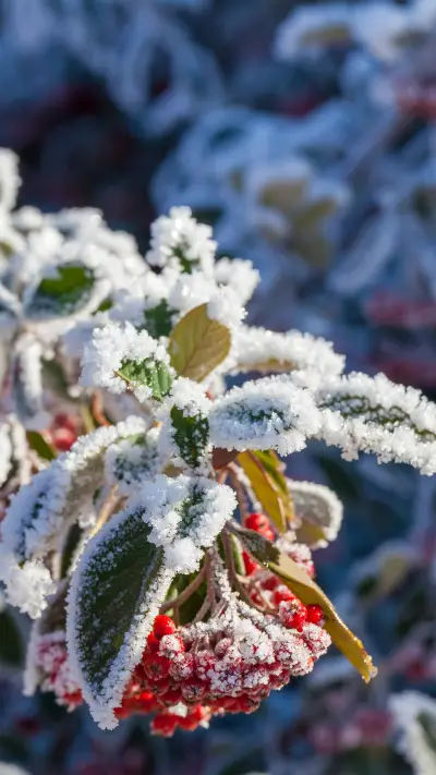 Winter Snow Scenery - Screenshot 1