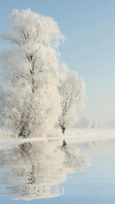 Northern Scenery - Screenshot 1