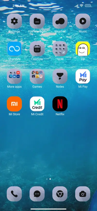 Dolphin_5 - Screenshot 3