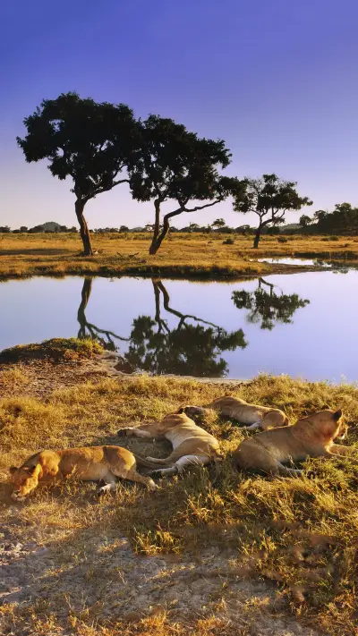 Newpoliciesformultinationalvisas