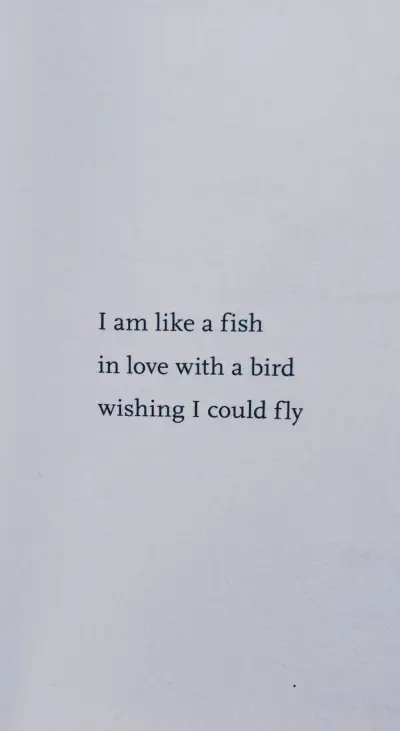 Quotes (41) - Screenshot 1