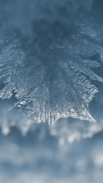 Frost flowers adorn indonesian car windows
