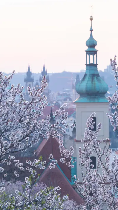 Embracing nature - Screenshot 1