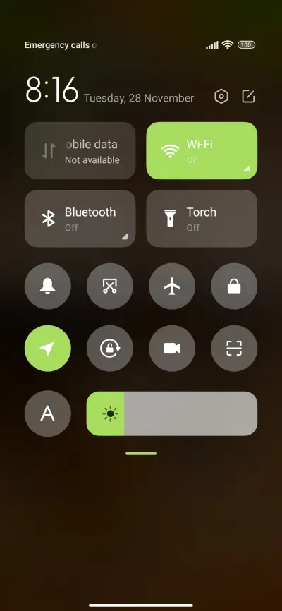 wildlife raccoon - Screenshot 5