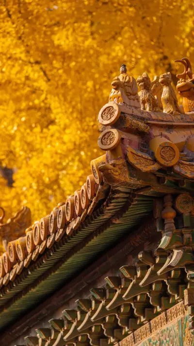 The autumn beauty of beijing is so intoxicating