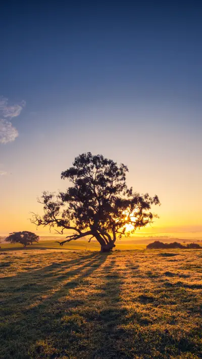 Simple and beautiful scenery - Screenshot 1