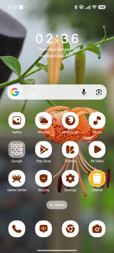 Morning Lily - Screenshot 2