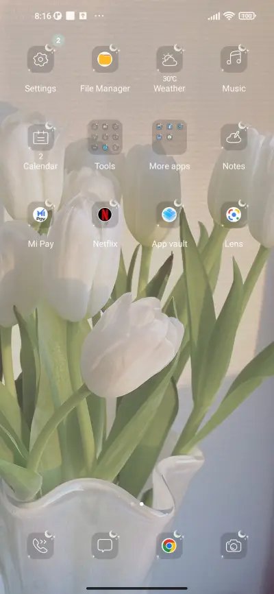 romantic tulip - Screenshot 3