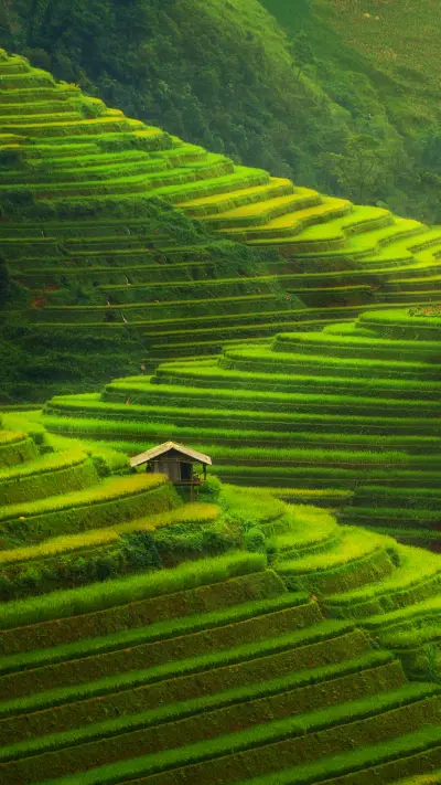 Terraces in Yunnan