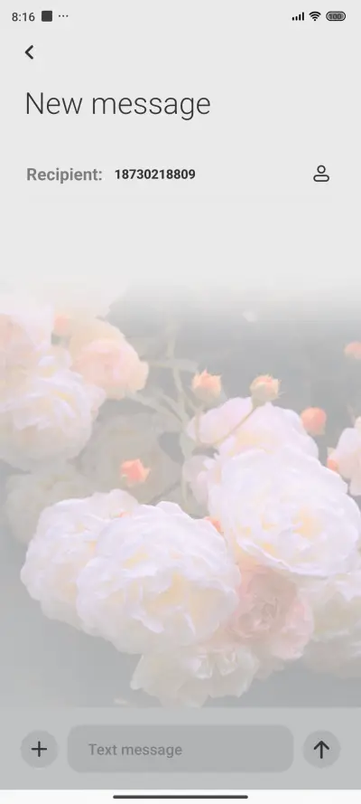 The dusty rose - Screenshot 8