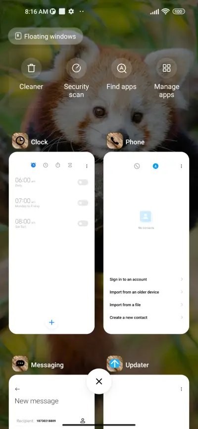 wildlife red panda - Screenshot 4