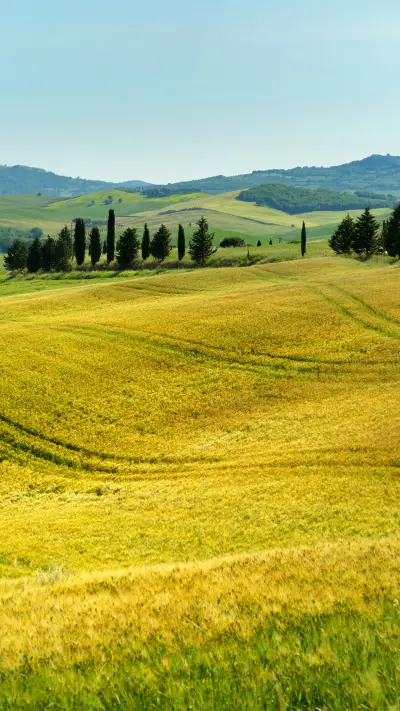 beautiful wallpapers-04