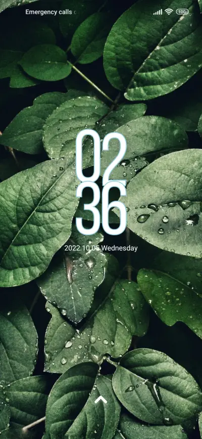 Classic_Calm - Screenshot 1