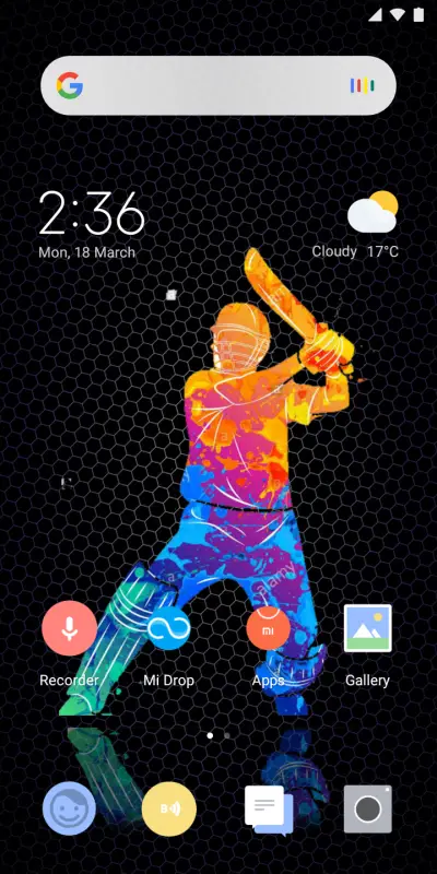 Star_Cricket - Screenshot 2