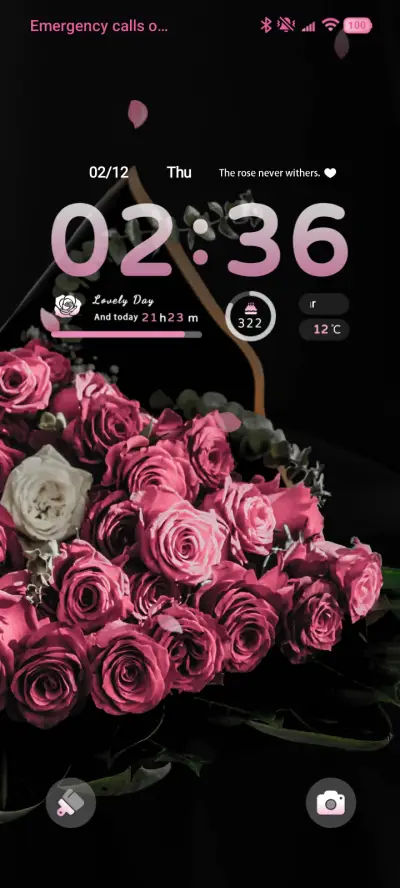 Night Rose