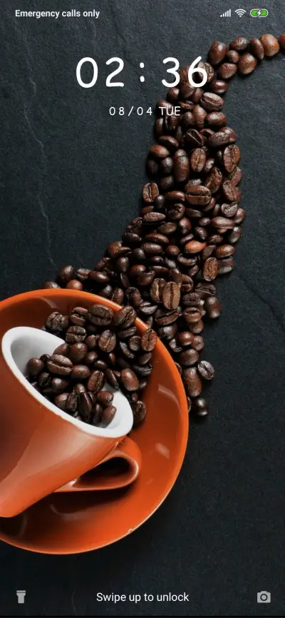 Coffee Beans_3MDS