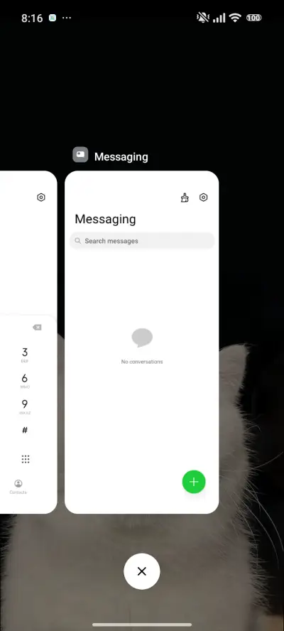 Cat - Screenshot 4