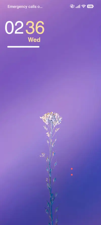 Purple Flower - Screenshot 1