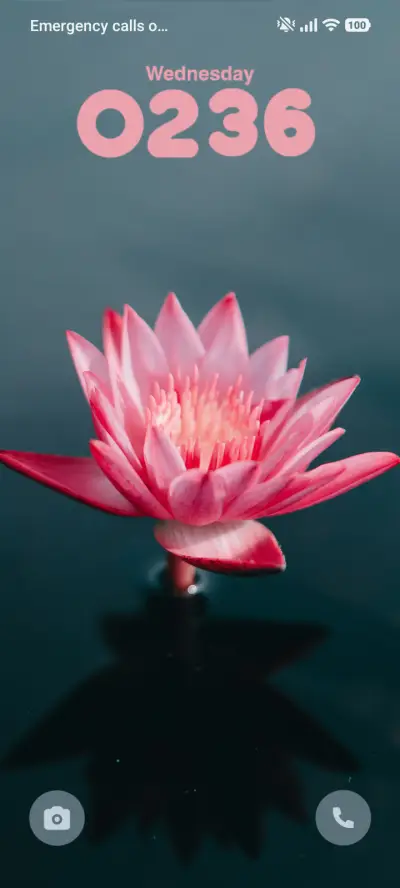 Pink Flower - Screenshot 1