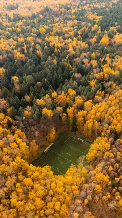 Cosy Football Stadium Hidden among Colorful Forest