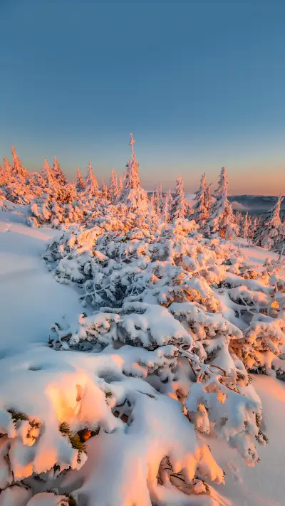Beautiful winter landscape and sky on mountains